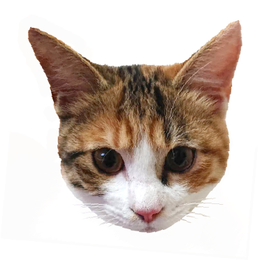 キジトラ猫